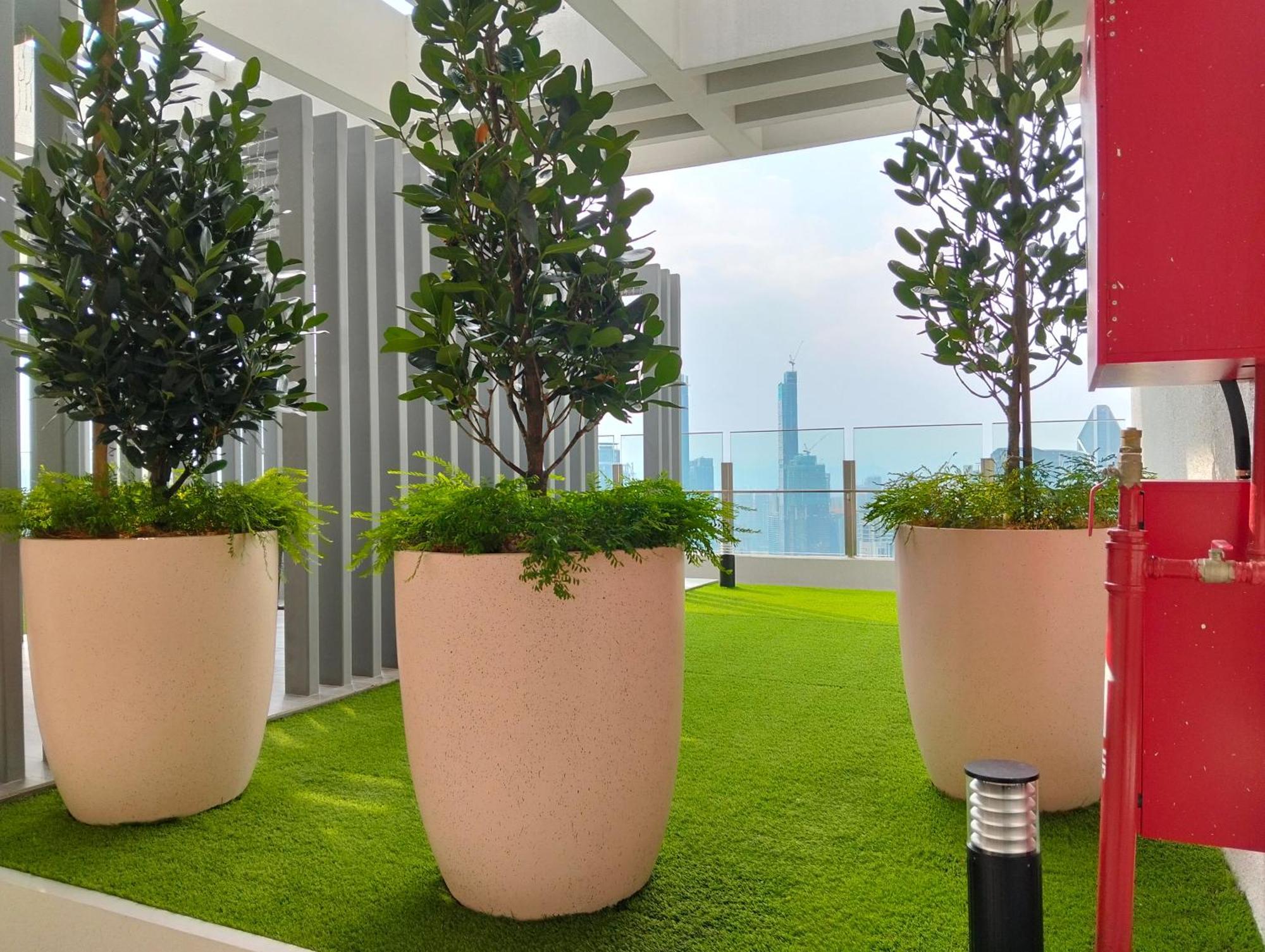 Sky Garden Luxy At Agile Bukit Bintang Pangsapuri *